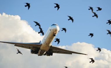 Zogu godet aeroplanin e ministrit turk, detyrohet të aterron para kohe