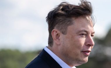 Elon Musk zbulon se nuk i pëlqen të jetë shefi i Tesla-s