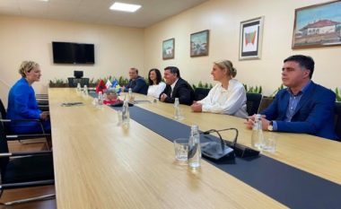 Haziri-Sinani: Pa zgjidhjen e problemit të Kosovës Lindore s’ka paqe të qëndrueshme në rajon