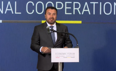 Zaev: Po humbasim një miliard euro duke pritur në kufij, fokusi është në lëvizjen e lirë