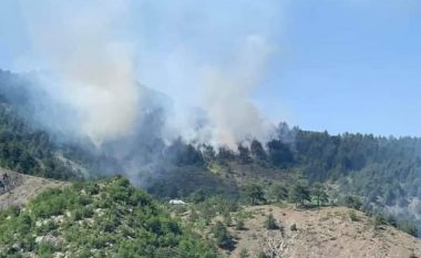 Gjilani apelon qytetarët që të mos ndezin zjarre fushore  