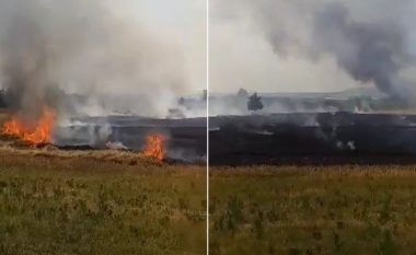 Zjarri shkrumbon sipërfaqe të mëdha të tokave bujqësore në Dubravë të Suharekës