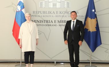 Mehaj takon ambasadoren e Sllovenisë, merr mbështetje për proceset integruese në NATO dhe BE