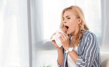Irritimi i hundës: Nuk teshtihet vetëm për shkak të alergjive