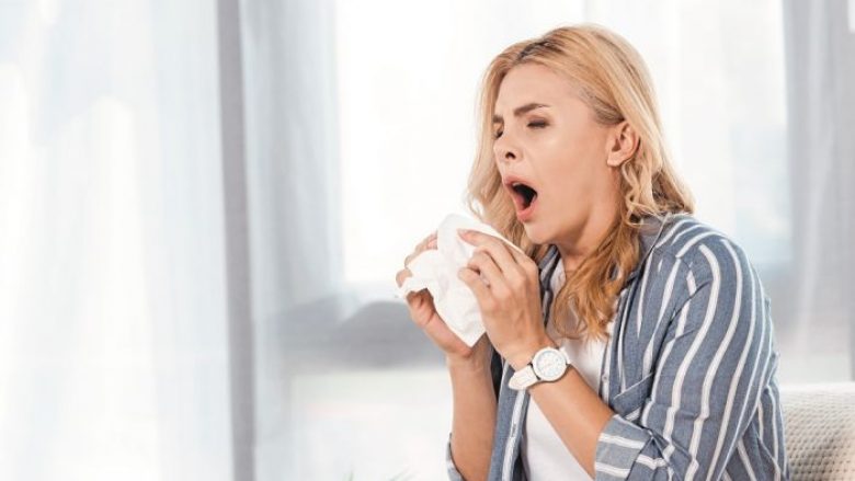 Irritimi i hundës: Nuk teshtihet vetëm për shkak të alergjive