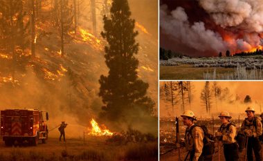 Zjarre masive në disa zona të SHBA-së, raportohet për mbi 1.8 milion hektarë tokë të djegur deri më tani