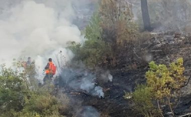 ​Zjarret në Shqipëri: Problematike vijon të jetë vatra në Majën e Zezë