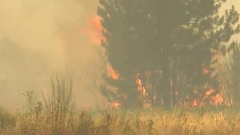 Zjarri ka përfshi disa nga objektet në Maçevo, janë dërguar edhe helikopterë