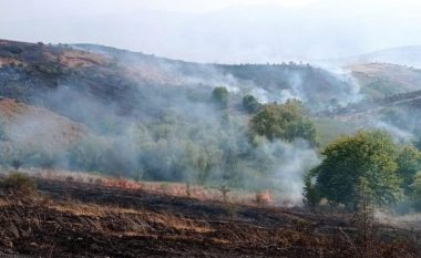 Shënohet viktima e parë nga zjarret në Shqipëri