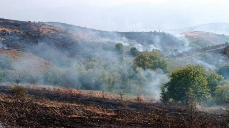 Shënohet viktima e parë nga zjarret në Shqipëri