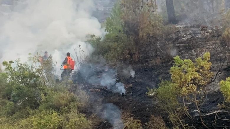 Vazhdon përballja me zjarret në Shqipëri, situatë më e rëndë në Karaburun