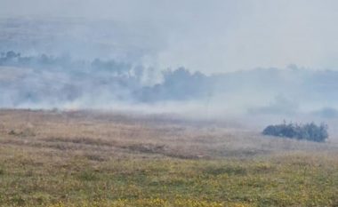 ​Situatë më e qetë nga zjarret në Shqipëri, dy vatra kritike, 8 janë nën monitorim