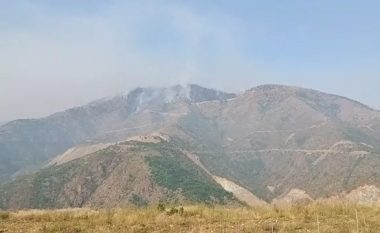 Vijon aktive vatra e zjarrit në pyllin me pisha në Majën e Rrunës në Kukës