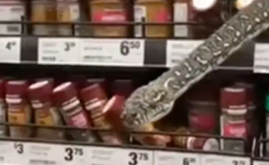 Momenti kur një piton gjigant është vërejtur duke u fshehur në raftet e një marketi në Australi