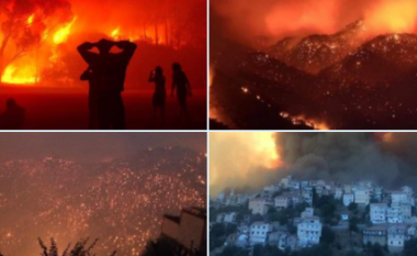 Zjarre të mëdha pyjore në Algjeri, gjejnë vdekjen katër persona