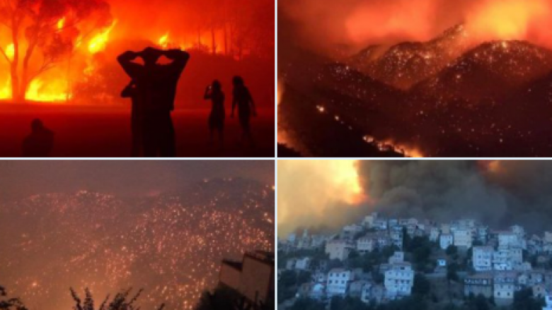 Zjarre të mëdha pyjore në Algjeri, gjejnë vdekjen katër persona