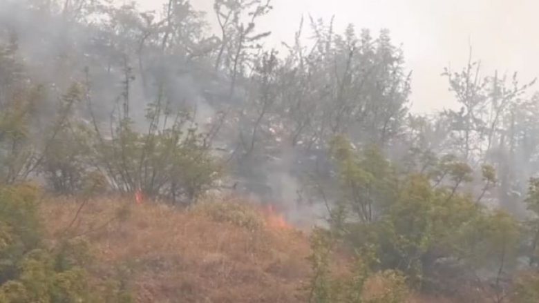 Shuhen flakët në disa zona në Gjirokastër, policia identifikon dy nga autorët të dyshuar për vënien e zjarrit