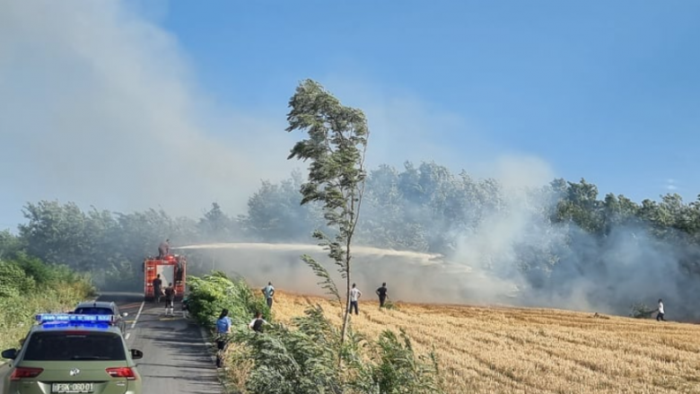 ​FSK me 100 pjesëtarë në teren në operacionet për fikjen e zjarrit