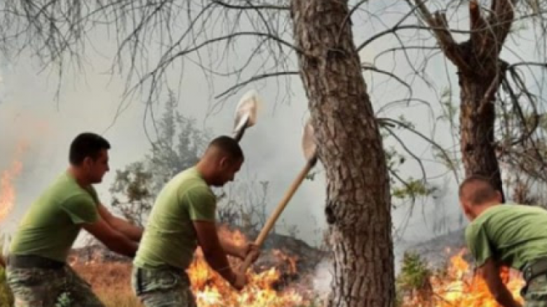 Zjarret në Vlorë, kërkohet evakuimi i njerëzve