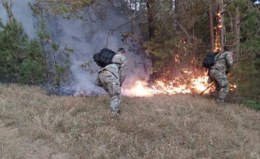 DMSH Maqedoni: Zjarret e qëllimshme vështirë të kontrollohen