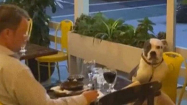 Pronari dhe qeni darkuan së bashku në një restorant, pamjet bëhen virale