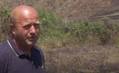 Fermerit nga Mitrovica i digjen tre hektarë arrë: Zjarrin e shkaktoi dora e njeriut