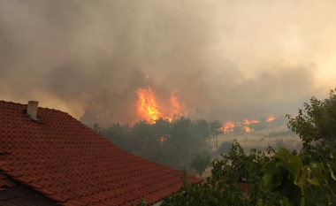 Shilegov: Zjarrfikësit e Shkupit shkojnë drejt Koçanit