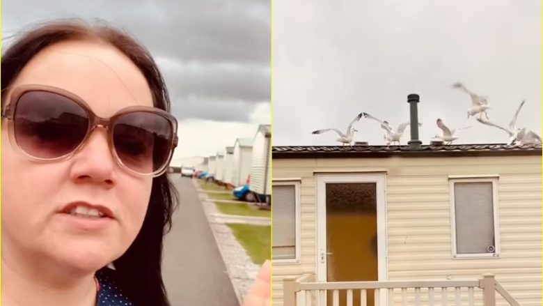 Ua mbuloi çatinë me bukë: E lanë gjithë natën pa gjumë nga muzika, gruaja britanike me hakmarrje interesante ndaj fqinjëve