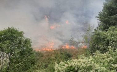 ​Situata e zjarreve në Shqipëri, zonë problematike mbetet Maja e Rrunës
