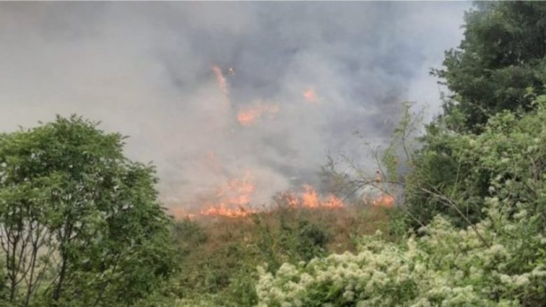 ​Situata e zjarreve në Shqipëri, zonë problematike mbetet Maja e Rrunës