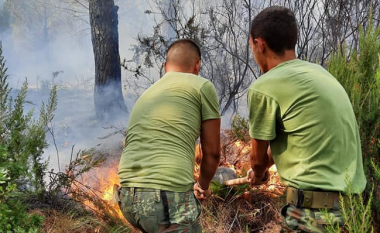 Pesë vatra zjarri në të gjithë Shqipërinë, më kritiket në Karaburun dhe Kurbin