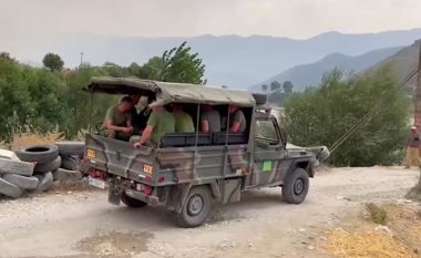 Peleshi për zjarret në Shqipëri: Të shqetësuar dhe me pak mundësi për të hyrë në Karaburun