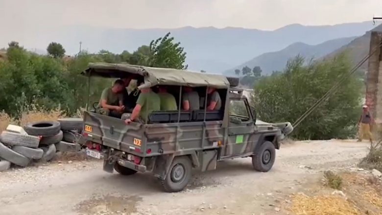 Peleshi për zjarret në Shqipëri: Të shqetësuar dhe me pak mundësi për të hyrë në Karaburun