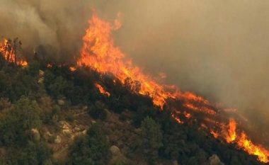 Shqipëri, 9 vatra aktive zjarri në sipërfaqet pyjore
