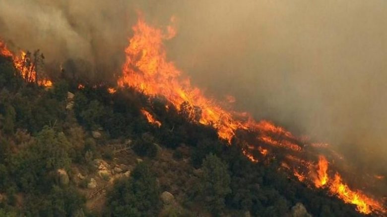 Shqipëri, 9 vatra aktive zjarri në sipërfaqet pyjore