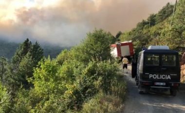 Zjarr masiv në pyjet e Voskopojës, vështirë të ndërhyhet me helikopter
