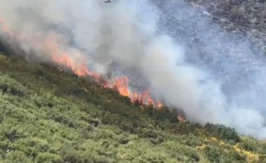 Shiu fiku zjarrin në Kukës, Mbrojtja Civile: Ka ende trungje që nxjerrin tym, situata në monitorim