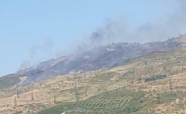 Këtë vit numër rekord zjarresh në rajonin e Pollogut