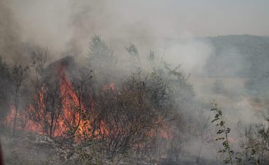 QMK: Duke pasur parasysh kushtet e motit, shpresojmë që zjarri pranë Petrovecit të lokalizohet