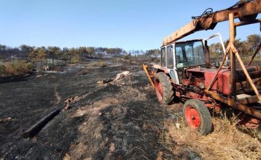 Pas zjarreve në Maqedoni, paralajmërime për pyllëzim