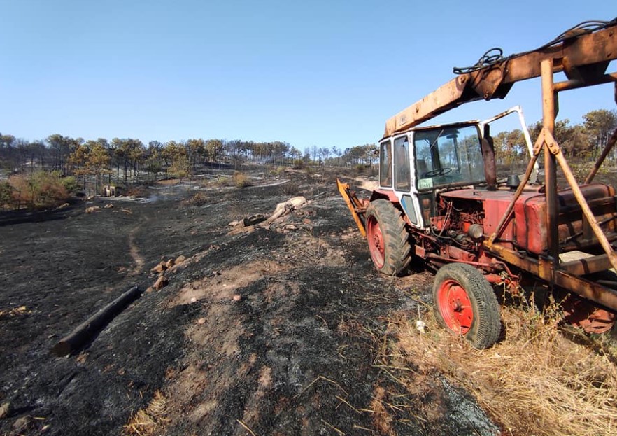 Pas zjarreve në Maqedoni, paralajmërime për pyllëzim