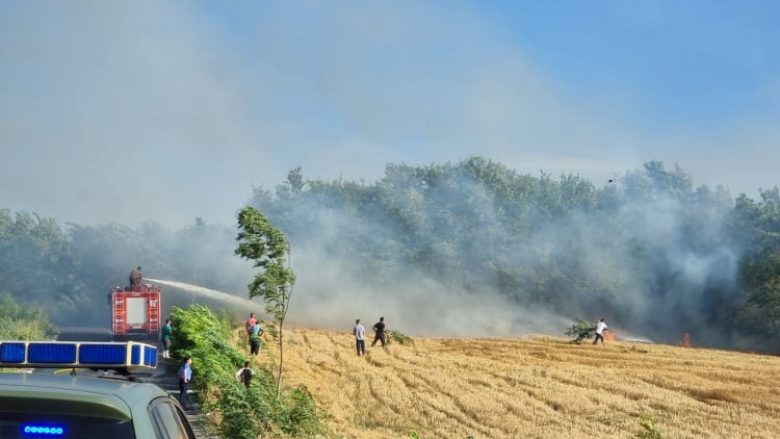 Agjencia për Menaxhimin e Emergjencave: Nga 50 vatra të zjarreve në Kosovë, aktive kanë mbetur vetëm 10