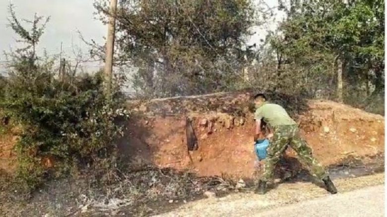 Zjarret në Shqipëri, ushtria dhe banorët bëhen bashkë – shuajnë flakët me kova uji