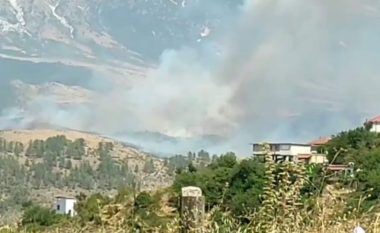 Shënohet viktima e parë nga zjarret në Shqipëri, dy të tjerë në spital