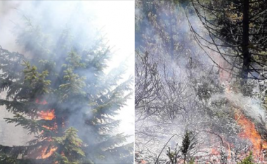 Ramosaj falendëron zjarrëfikësit për intervenimin në Zllonopojë