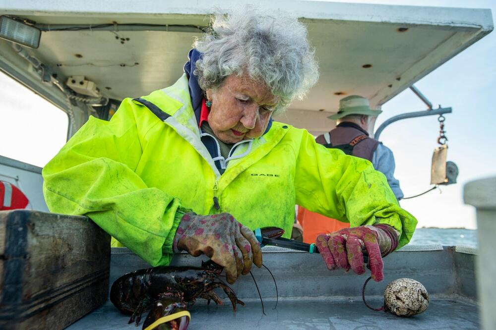 Njihuni me 101-vjeçaren Virginia Oliver, e cila është eksperte e gjahut të gaforreve: Tërë jetën kam punuar, pse do të ndalesha tani?