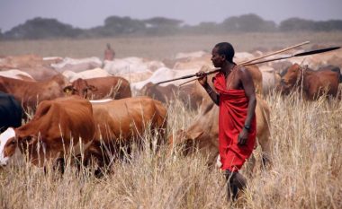 Në përleshjen mes hajnave të lopëve dhe fermerëve në Madagaskar, humbin jetën 46 persona