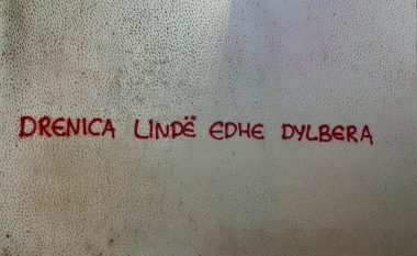 “Drenica lind edhe dylbera” – grafite në hapësirat publike në Drenas