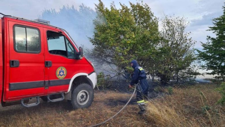 Shuhet zjarri në pyjet e fshatit Topillë të Shtimes