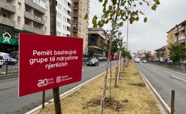 Banka Ekonomike, javën e kaluar përfundoi mbjelljen e 540 drunjve në 27 Komuna të Kosovës